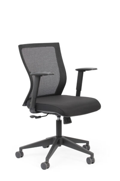 Balance Task Adj Arms FR ARMS UP scaled