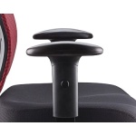 TOLEDO CLER RED POL SIDE 2