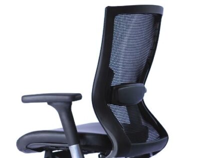 balance project with lumbar arms