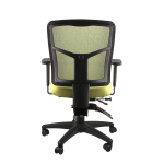 MIRAE CLER OLIVE REAR